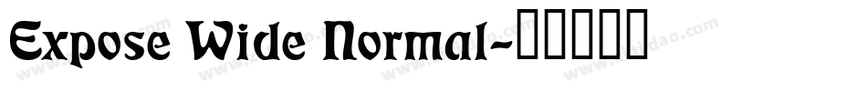 Expose Wide Normal字体转换
